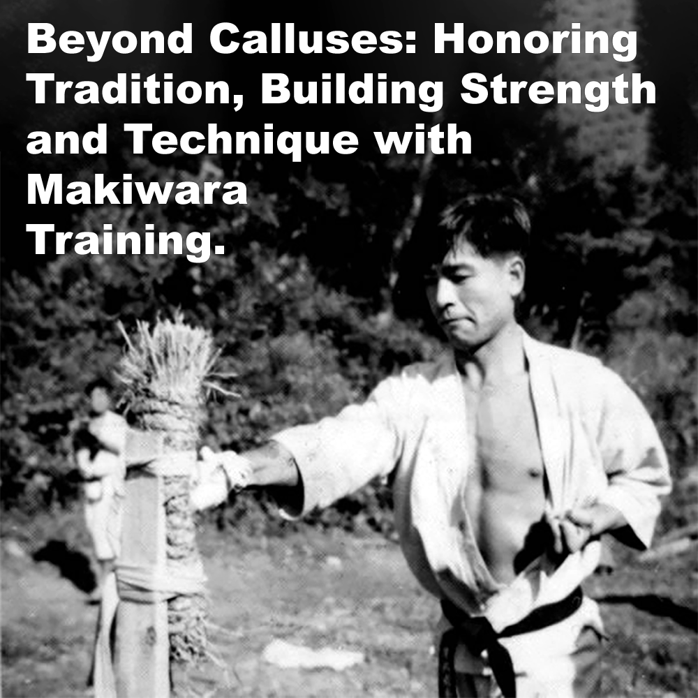 Beyond Calluses: Honoring Tradition, Building Strength and Technique with Makiwara Training. image