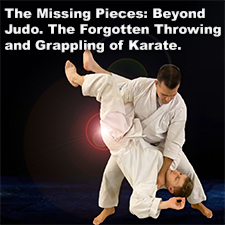 The Missing Pieces: Beyond Judo. The Forgotten Throwing and Grappling of Karate. image