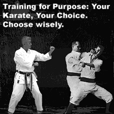 Training for Purpose: Your Karate, Your Choice. Choose wisely. image