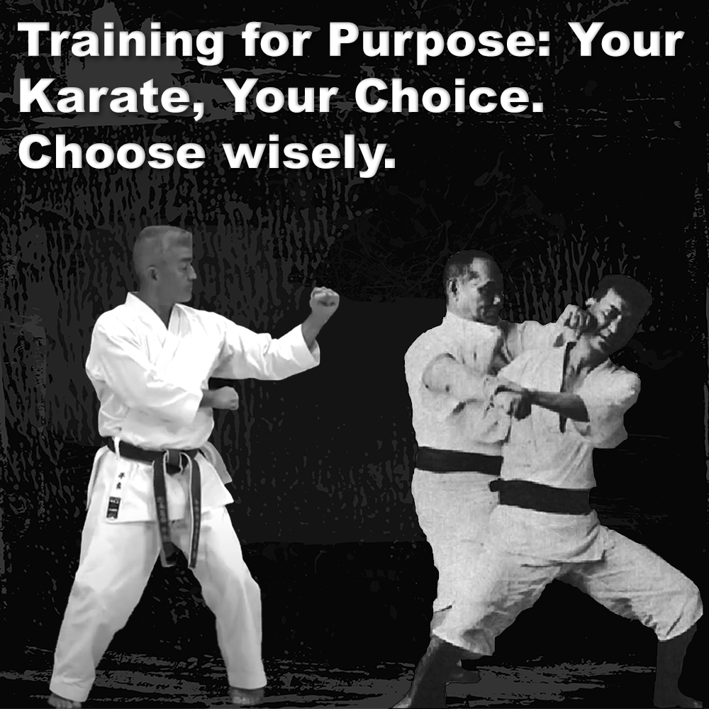 Training for Purpose: Your Karate, Your Choice. Choose wisely. image