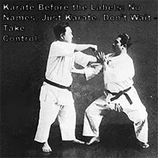 Karate Before the Labels: No Names, Just Karate. Don’t Wait – Take Control. image