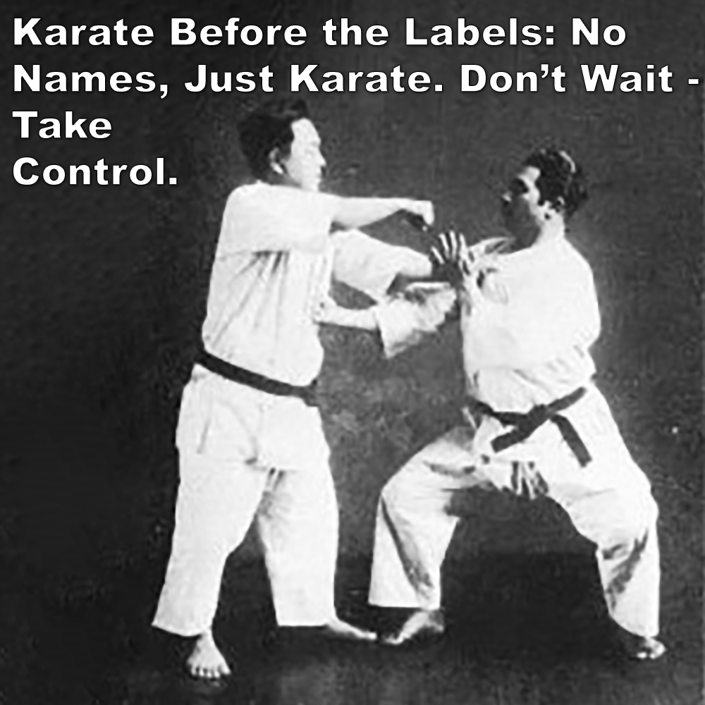 Karate Before the Labels: No Names, Just Karate. Don’t Wait – Take Control. image
