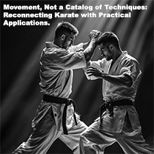 Movement, Not a Catalog of Techniques: Reconnecting Karate with Practical Applications. image