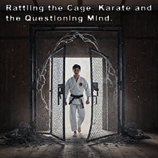 Rattling the Cage: Karate and the Questioning Mind. image
