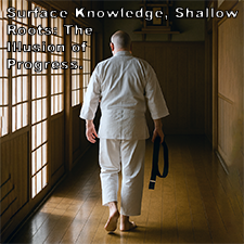 Surface Knowledge, Shallow Roots: The Illusion of Progress. image