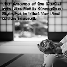 The Essence of the Martial Arts Lies Not in Strength or Style, but in What You Find Within Yourself. image