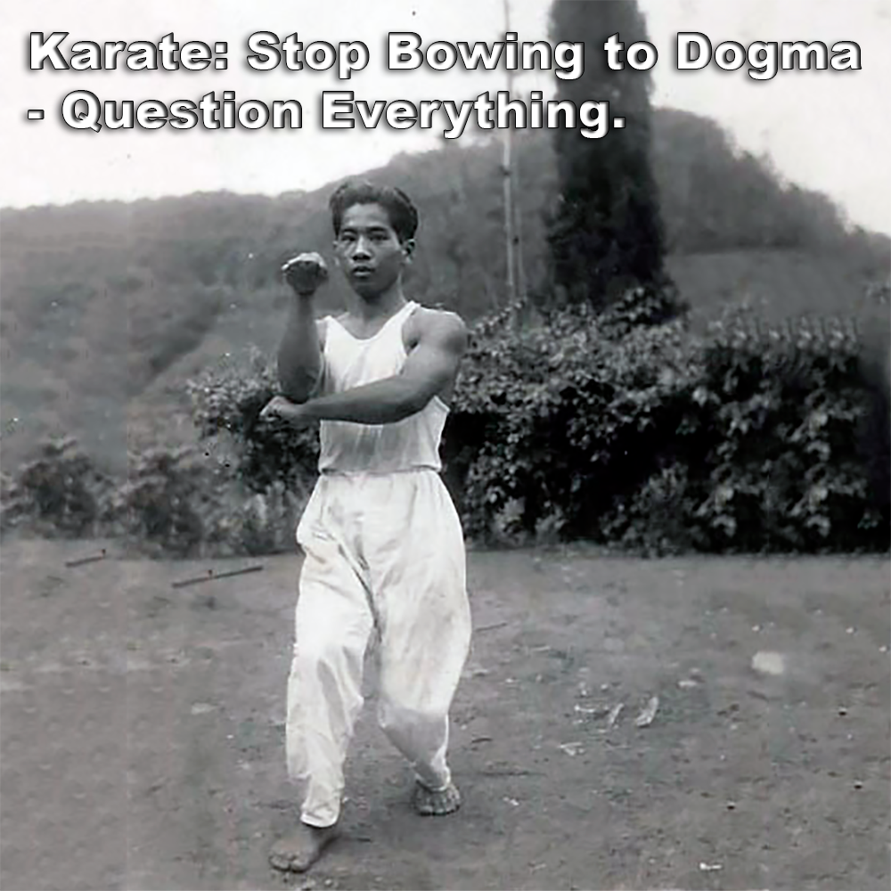 Karate: Stop Bowing to Dogma – Question Everything. image