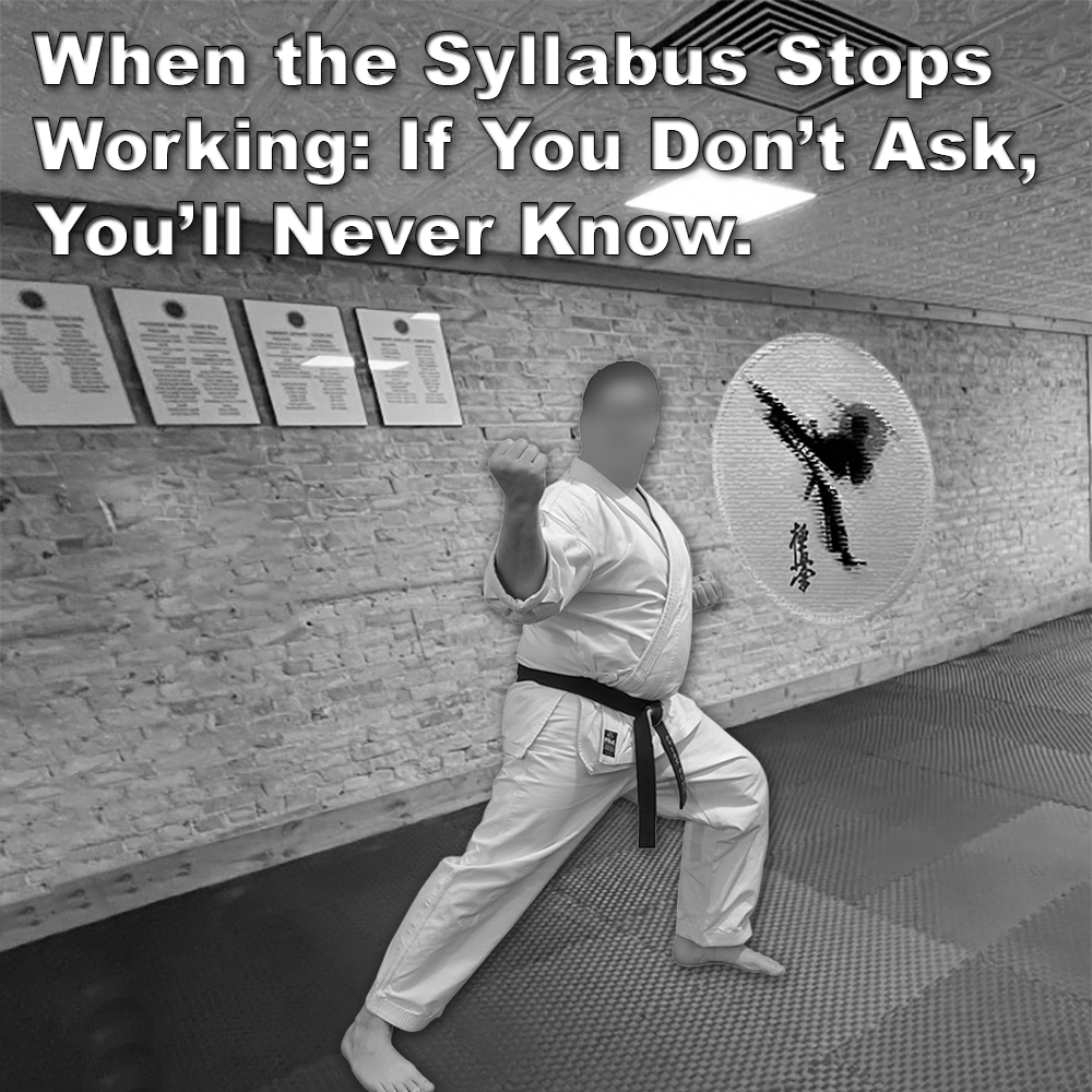 When the Syllabus Stops Working: If You Don’t Ask, You’ll Never Know. image