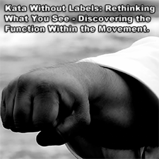 Kata Without Labels: Rethinking What You See – Discovering the Function Within the Movement. image