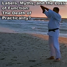Labels, Myths, and the Loss of Function: The Death of Practicality? image