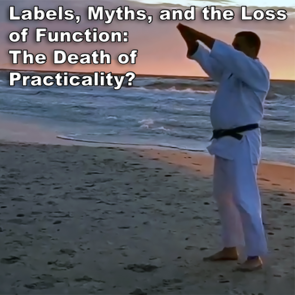 Labels, Myths, and the Loss of Function: The Death of Practicality? image