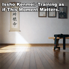 Issho Kenmei: Training as if This Moment Matters. image