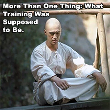 More Than One Thing: What Training Was Supposed to Be. image